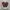 Converse CT All Star High ‘Dark Burgundy’ Leather Original photo 2