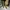 Ugg snow boots shoes photo 8