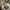 Ugg Snow Boots Shoes