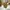 Ugg snow boots shoes photo 4