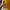 Mini Yellow Dress photo 5