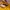 Mini Yellow Dress photo 4