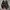 Nike Adversary SB Premium photo 4