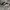 Nike Adversary SB Premium photo 2