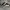 Nike Adversary SB Premium