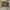 Nike Adversary SB Premium photo 6