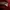 hoodie nike merah photo 3