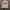 VANS Streetwear Casual Suit Pria White