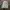 VANS Streetwear Casual Suit Pria White
