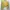 Pull & Bear Indie Casual Crop Top Wanita Yellow