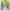 Pull & Bear Indie Casual Crop top Wanita yellow photo 3