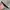 Canvas black belt photo 3