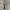 Canvas black belt photo 1