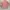 Converse Sportswear Casual T-shirt Wanita pink photo 4