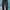 Longpants Nationa Geographic Mirror