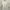 Uniqlo Minimalist Casual Blouse Wanita white photo 3
