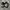 Nike Air Jordan 1 Retro Low Sp x Solefly Carnivore photo 4