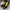 Dr Martens 1460 - Contrast Smooth  photo 1