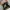 Dr Martens 1460 - Contrast Smooth  photo 3