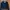 Levis Denim Jacket photo 1