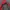 Berghaus jacket jaket outdoor merah photo 6