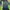 Kaos Outdoor BlackYak Extreme Peak Baselayer Hiking Trekking photo 1