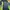 Kaos Outdoor BlackYak Extreme Peak Baselayer Hiking Trekking