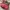 Pink Gucci Babouska Shoulder Bag photo 6