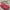 Pink Gucci Babouska Shoulder Bag photo 4