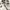 Dickies Streetwear Casual Casual pants Pria khaki photo 6