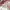 milkmaid top | floral lace flower dollete mori kei ribbon jp photo 5