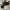 Prada Luxury Sunglass Wanita brown black photo 6