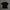 Billie Eilish x HnM tee photo 1