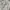 Shortpants Jorts Y2K CastleBajac Castle Bajac photo 6