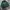 Hoddie Michigan Big Front Hit Logo Green Color☘️ photo 2