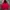 Hodie Mahagrid Big Logo Pink Candy Color🍭 photo 1