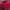 Hoddie Smile Big Logo Istkunst Pink Candy Color🍭 photo 1