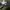 GU Super Wide Cargo Ballon Pants photo 8