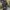 CONVERSE Longline Quilted Puffer Jacket photo 1