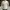 HUSH PUPPIES Utility Field Puffer Jacket photo 1