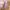 Dress Vintage