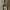 Paket Gitar BACUSS photo 3