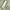 White midi dress photo 3