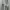 T-shirt Nogizaka46 Umezawa Minami Birthday Original Size XL photo 2