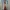 T-shirt Nogizaka46 Asuka Saito Photo Tee Original Size L  photo 2