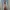 T-shirt Nogizaka46 Asuka Saito Photo Tee Original Size L 