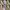 Bruno Magli Vintage Crossbody Bag photo 8