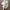 Birkenstock Arizona EVA photo 2