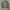 H&M BOMBER JACKET  photo 1