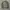 H&M BOMBER JACKET 